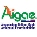 aigae_logo