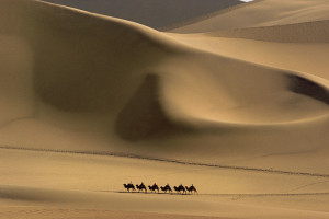 silkroad